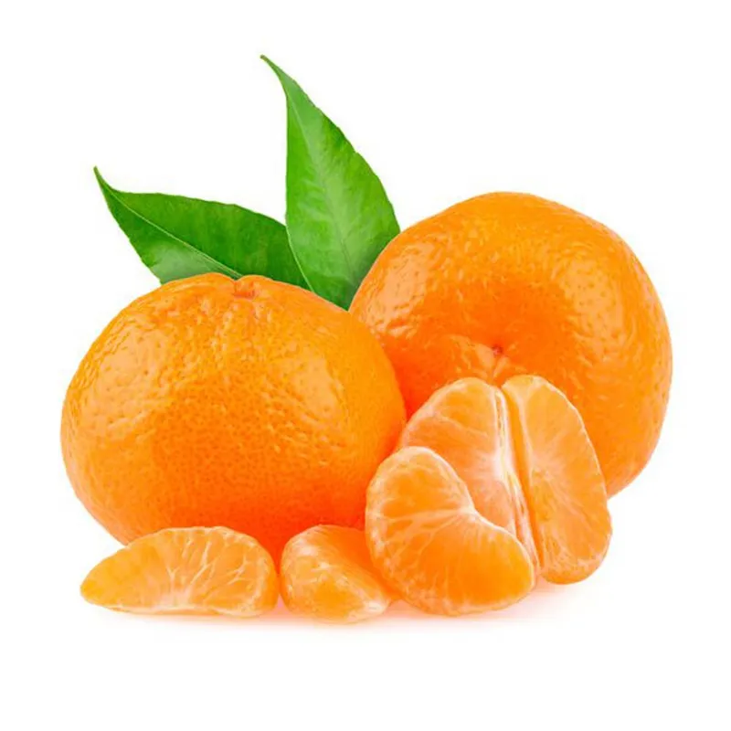 Valencia Seedless Orange (Citrus Valencia Orange Seedless) - Malta